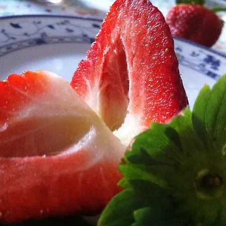 Heraclea מלון פוליקורו