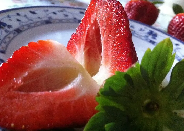 Heraclea Hotel Policoro